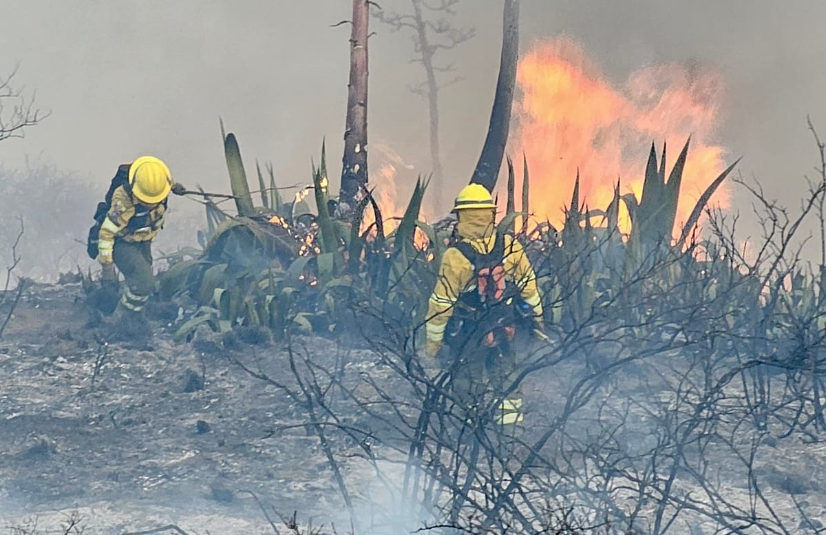 300 hectáreas de terreno consumidas por el fuego en Casitagua