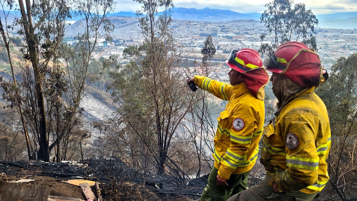 La Bota: hasta drones se usaron para combatir el fuego