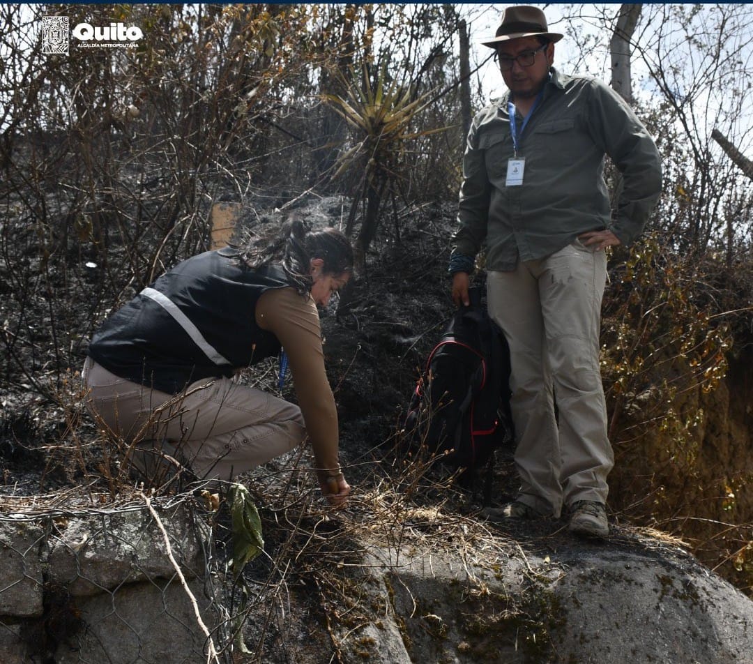 Una evidencia arqueológica se halló en la zona del incendio