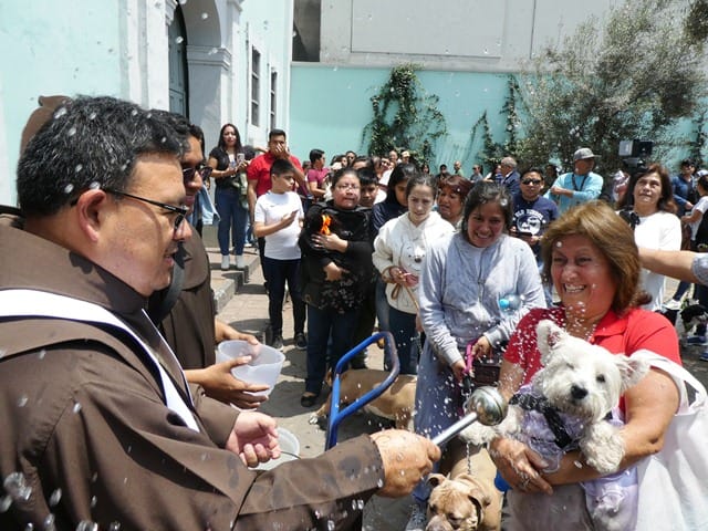 Con el favor de Dios: perros y gatos serán bendecidos en Quito