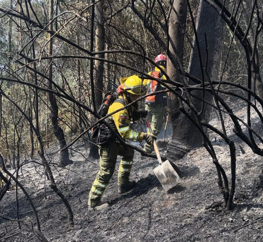 Quito: Bomberos controlaron incendio en Rumipamba
