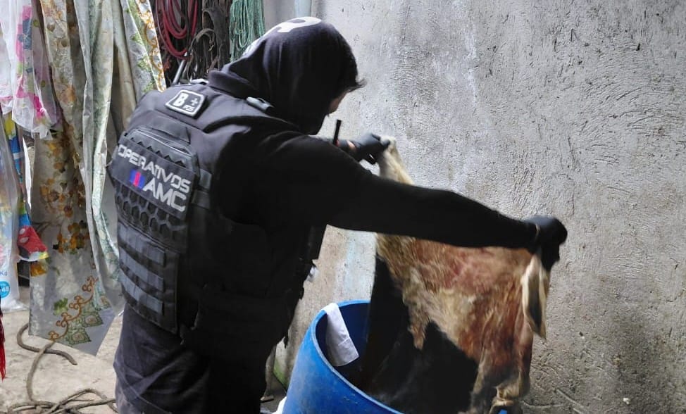 La AMC clausuró local que almacenaba ganado en condiciones insalubres