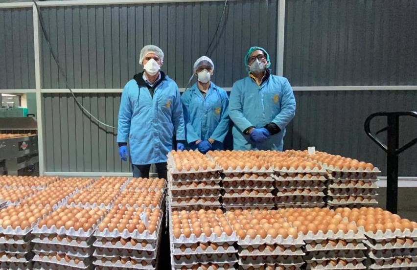 ¿Por qué los huevos están más caros en Ecuador?