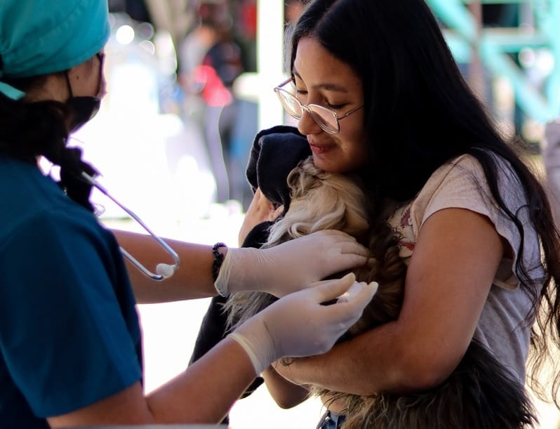 Vacune a su mascota: campaña gratuita contra la rabia
